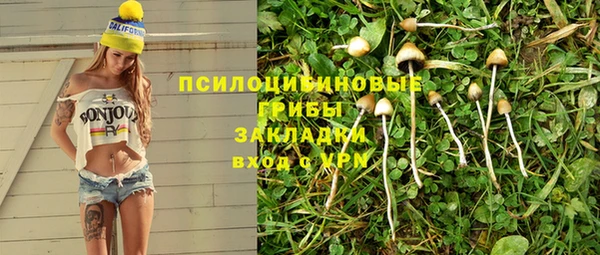 МДМА Алексеевка